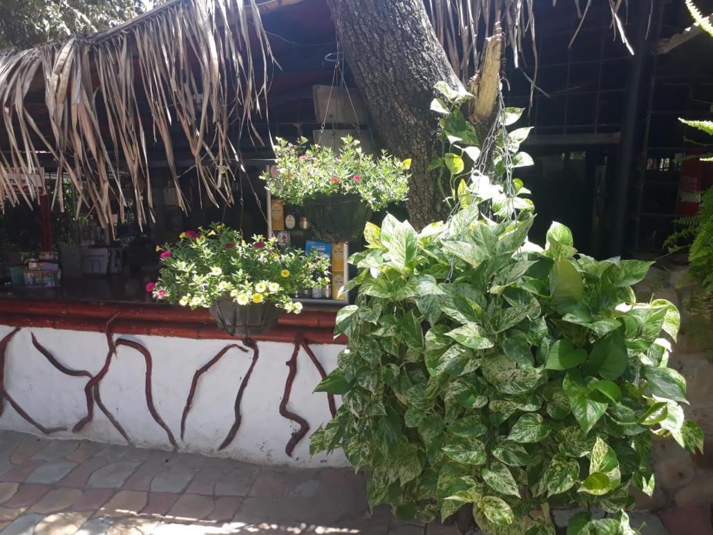 Hotel El Penon De Constantino - Tatacoa à Villavieja Extérieur photo